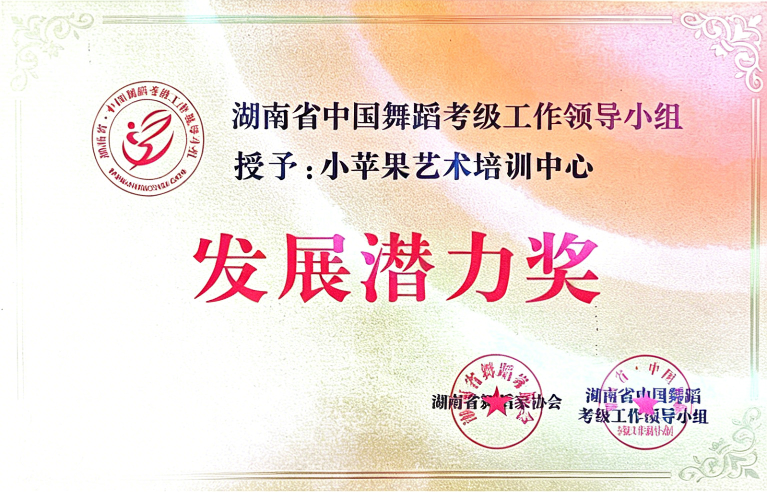 湖南省考级发展潜力奖